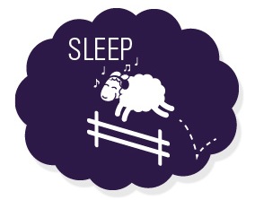 Sheep Sleep