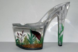 il_570xN.530600282_m2x6