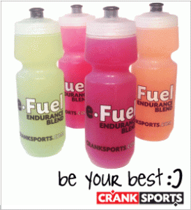 e-Fuel Endurance Blend.