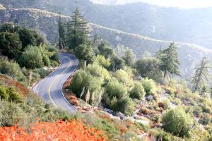 The long and winding road...