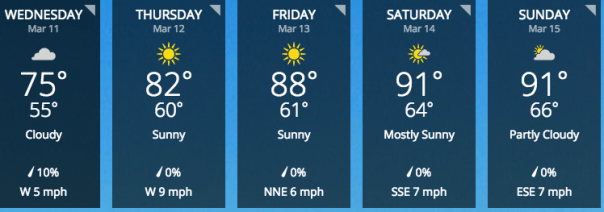 Screen Shot 2015-03-08 at 5.59.36 PM