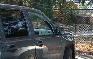 Stock photo, but you get the idea.